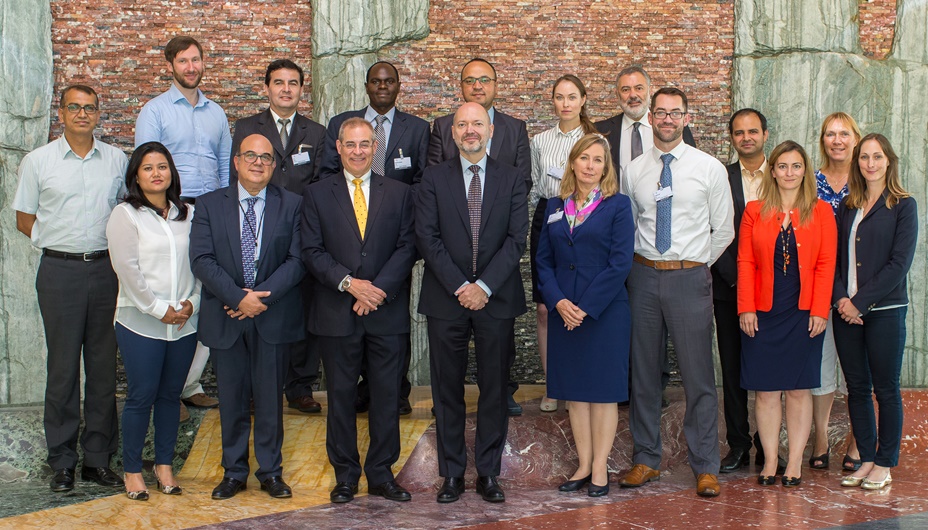 Stakeholders meeting on the two WIPO guides, Identifying Inventions in the Public Domain – A Guide for Inventors and Entrepreneurs and  Using Inventions in the Public Domain – A Guide for Inventors and Entrepreneurs which was held in July 2017 in Geneva, Switzerland.