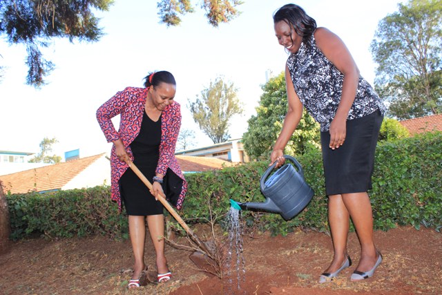 Prof. Mary Kinoti, Director, IPMO during tree planting to promote  conservation of  environment